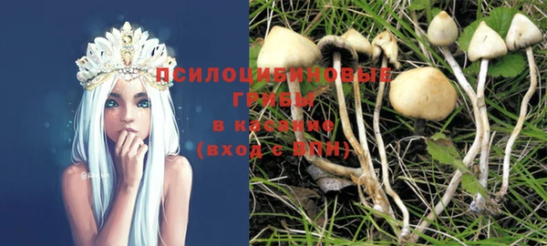 a pvp Алексин