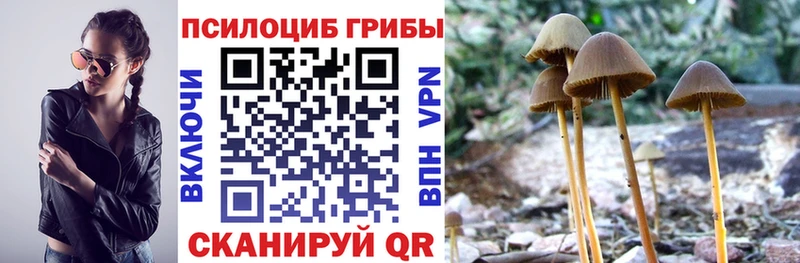 купить наркоту  Нижний Ломов  Галлюциногенные грибы ЛСД 